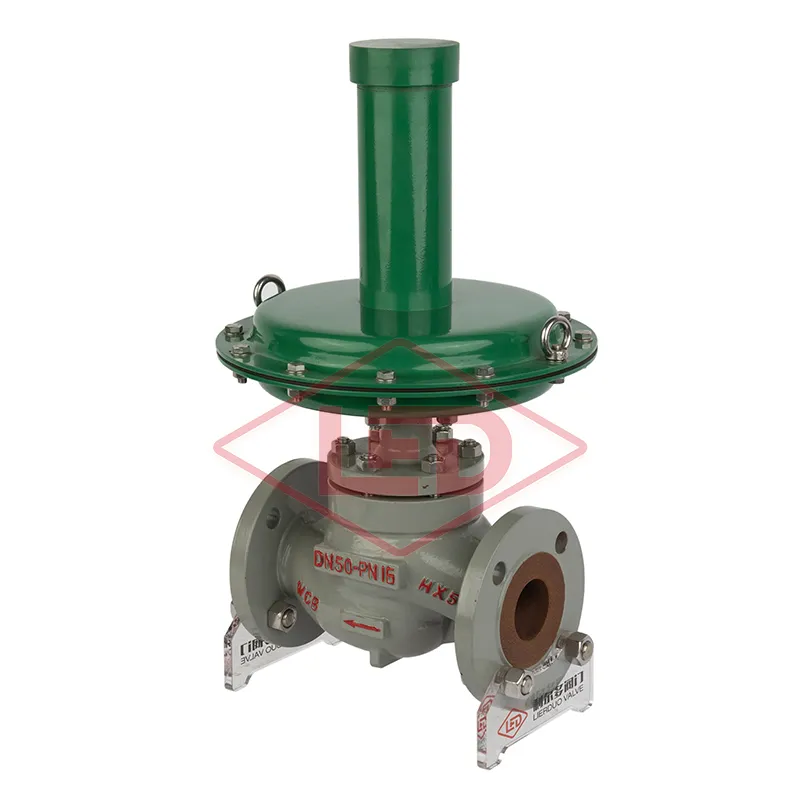 Pneumatic Self-Operated Micro-Pressure Regulating Valve